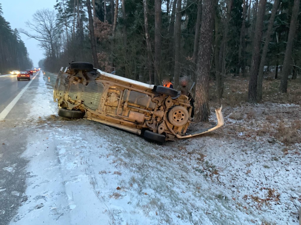 50661256_402450410502202_974779279214641152_n