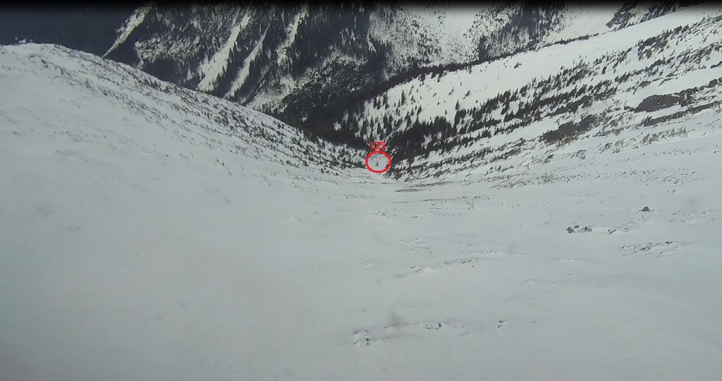 42a7e88524e7d1cc2ce2e4208f62de83