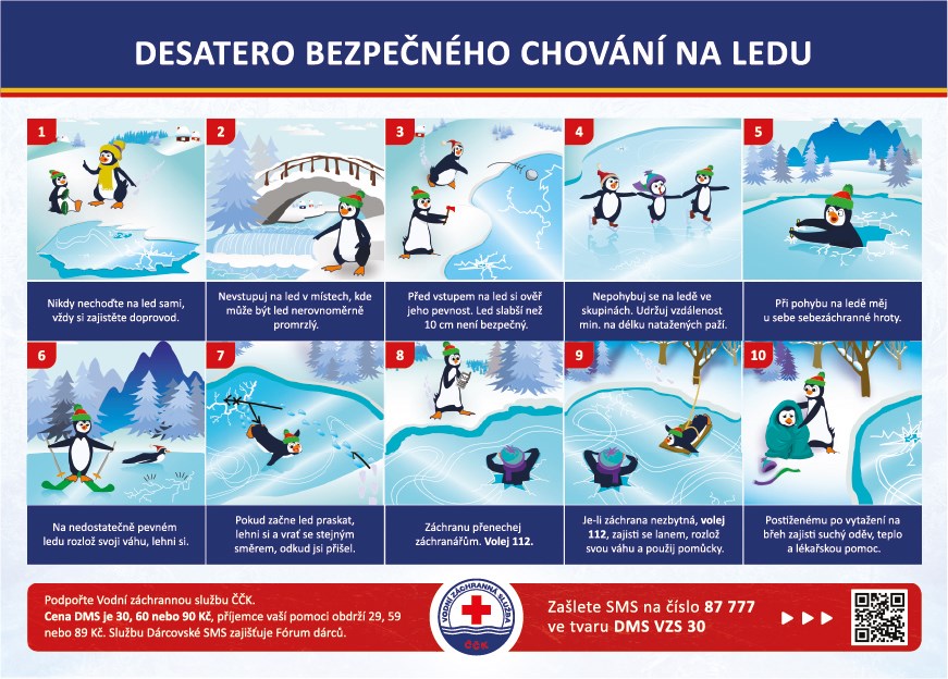 81654285_10156556308092294_2442400008331329536_n