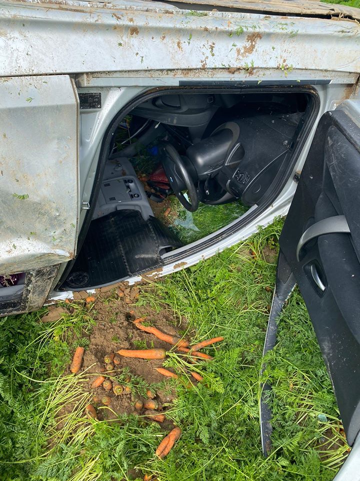 118357434_3449094328455672_2685786103533146075_o