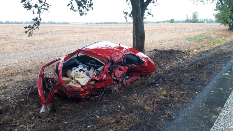 120299440_3556476017717502_4246844838401657367_o