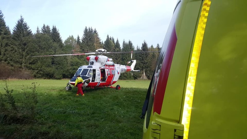 120523448_10215644050448913_7539836456717387385_n