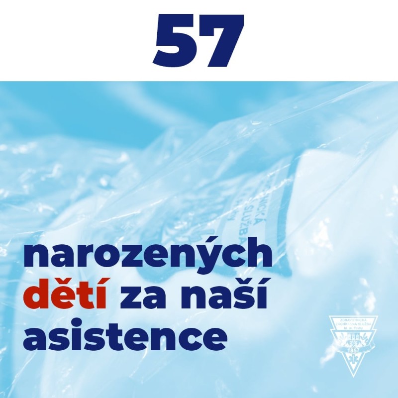 136642060_3520728438040702_7263537709341073795_o