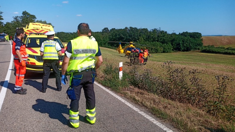 240819081_4456340721153143_3707666067539347886_n