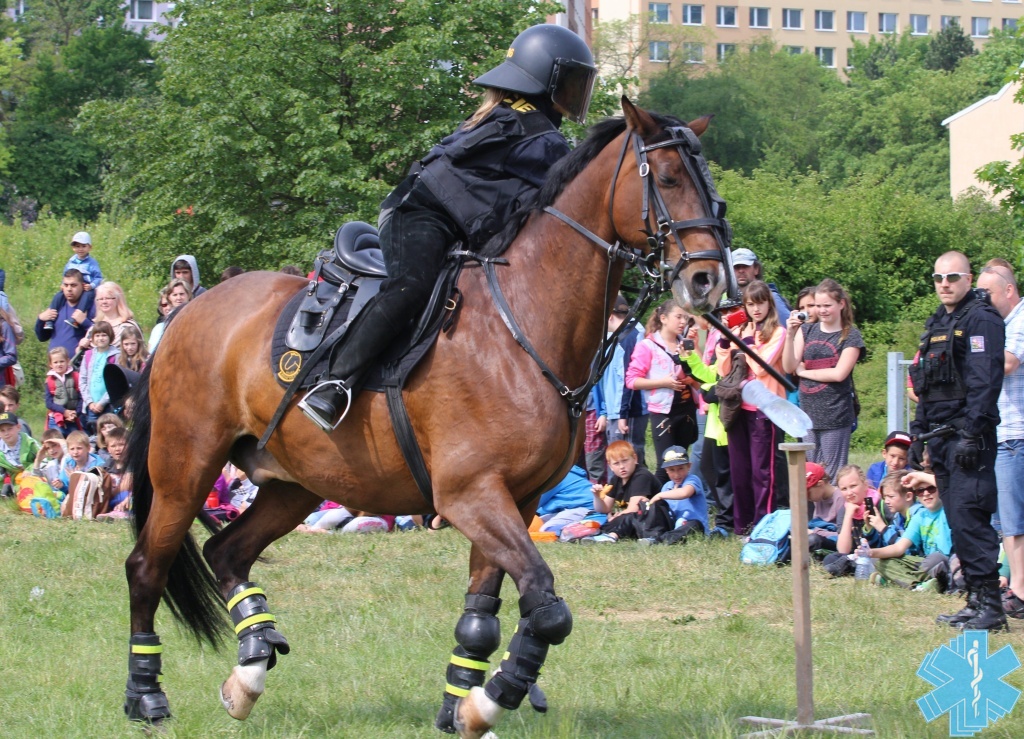 19-5-2016-den-bezpeci-melnik-38