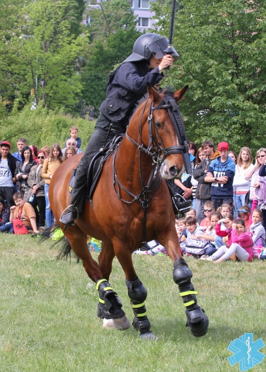 19-5-2016-den-bezpeci-melnik-39