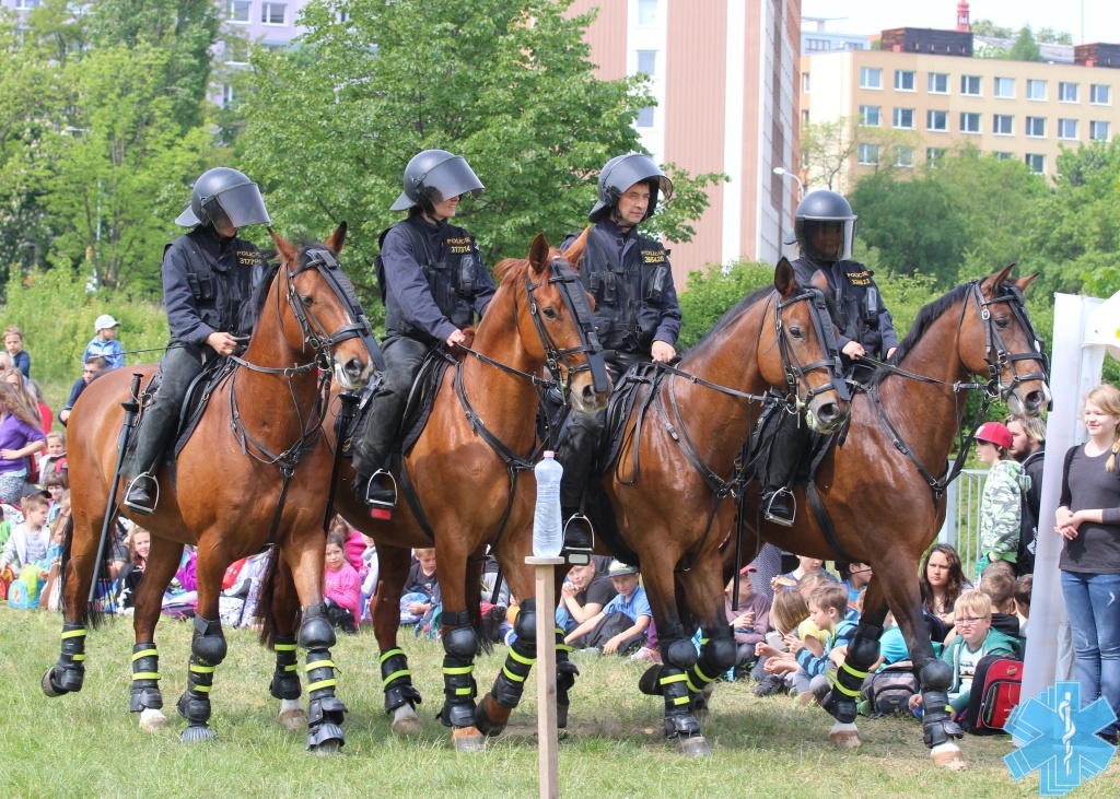 19-5-2016-den-bezpeci-melnik-40