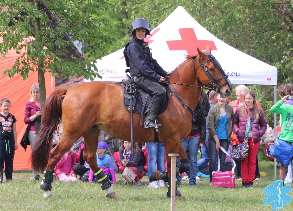 19-5-2016-den-bezpeci-melnik-44